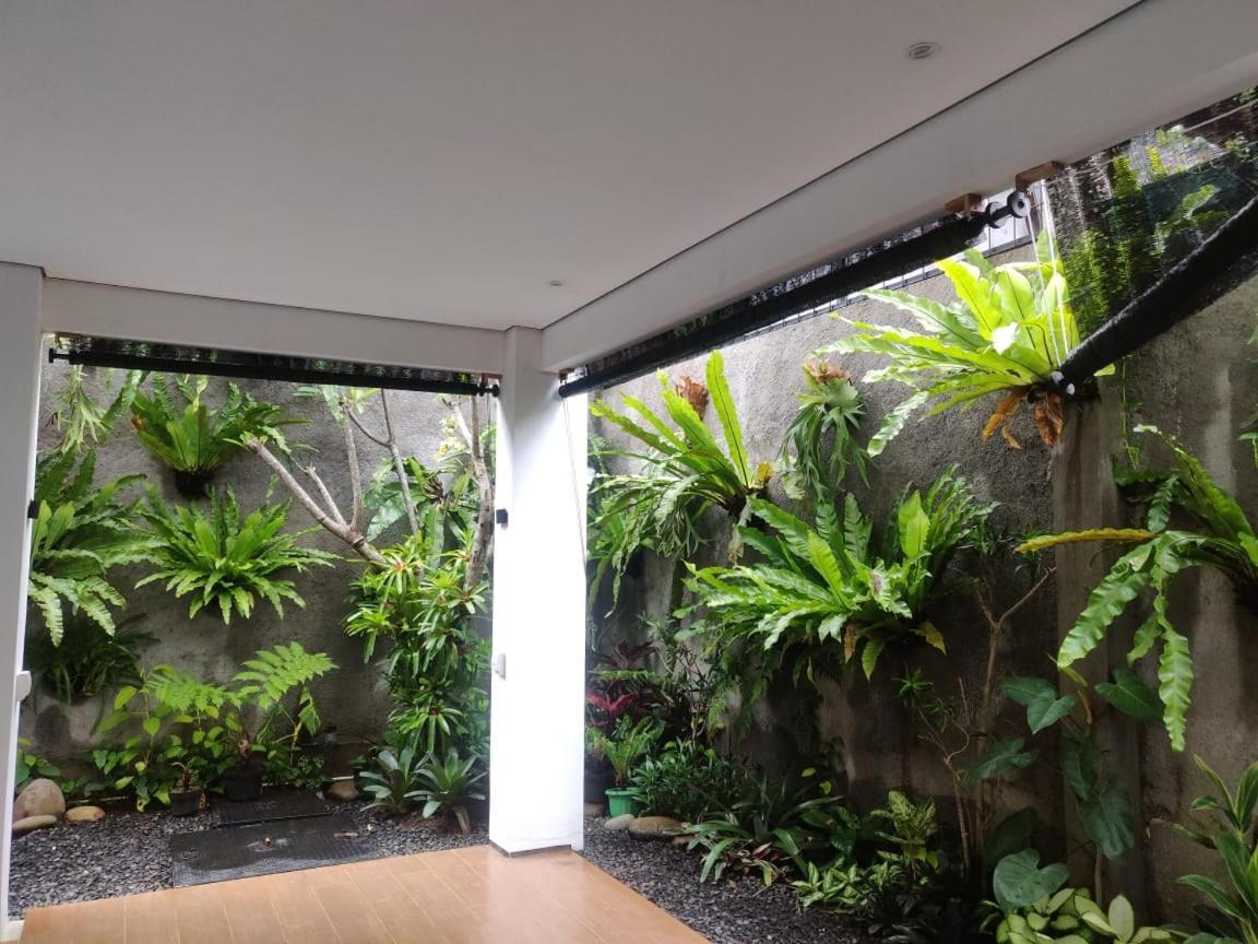 Rion Hostel ボゴール エクステリア 写真